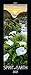 Produktbild Spirit of Earth 2021: Schmaler Wandkalender. Foto-Kunstkalender über unsere atemberaubende Natur. PhotoArt Vertikal. 28,5 x 69 cm.