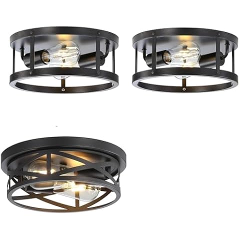 DOXVIEZE 2-Light Black Metal Close to Ceiling Light Fixtures Cover