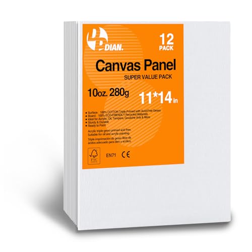 DPDIAN Leinwandtafeln 27,9 x 35,6 cm, 12 Stück