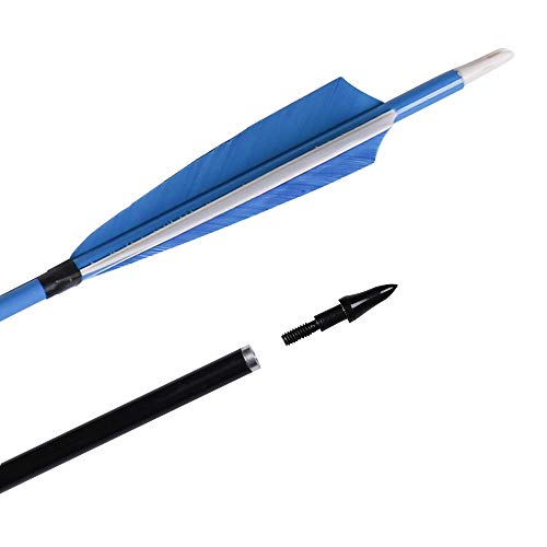 Feather Arrows 31" Archery Hunting Arrows Carbon Targeting Practice Feather Fletching Arrows for Recurve Bows and Longbow with Removable Tips