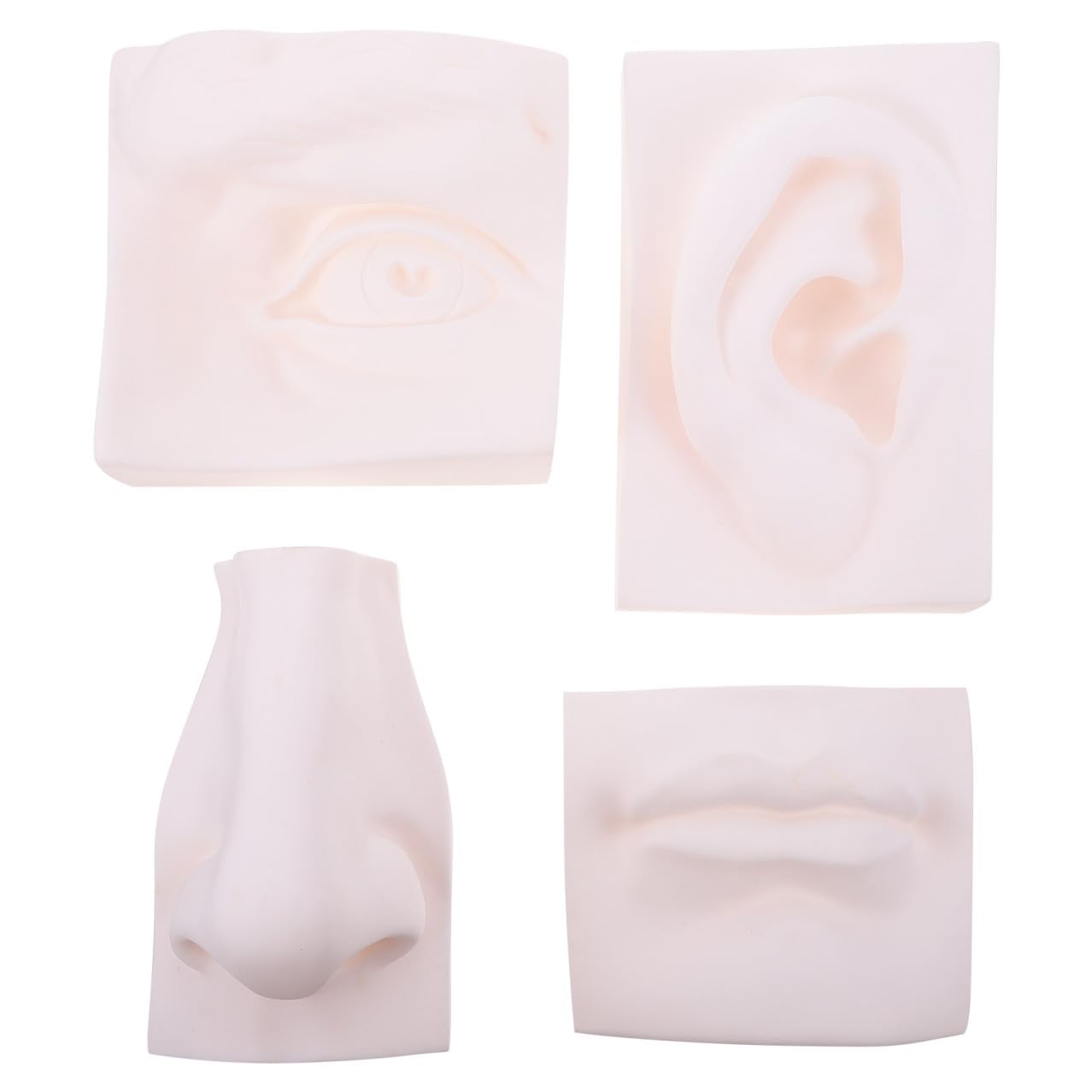 Modello Creativo di Organo di Senso in Plastica Morbida Bianco per Schizzo e Pittura, Superficie Liscia, per Decorazione e Studio in Camera da Letto
