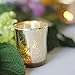 Just Artifacts 6pcs Assorted Size Speckled Mercury Glass Votive Candle Holders (Gold)