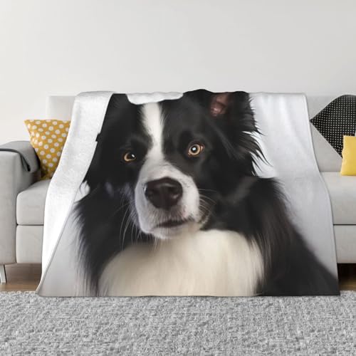 Plaid Border Collie ultra doux pour éviter le froid sur le canapé - 2