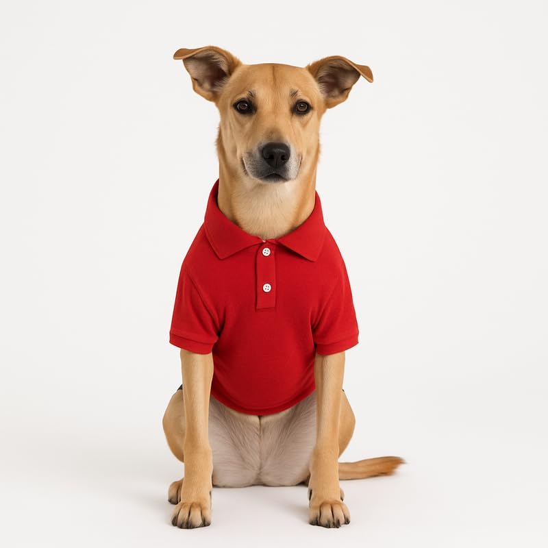 Image of Thunder Tails Premium Cotton Polo Dog T-Shirt | for Large Dogs | Red | 4XL | for Lean Labrador, Golden Retriever, German Shepherd, Rottweiler, Husky & Chow Chow