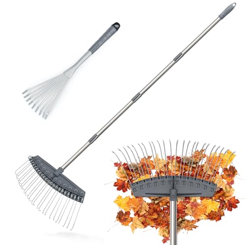 Best Thatch Rakes for a Perfect Lawn