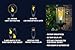 HoogaLife Flame Light Bulbs, Warm Flickering Light Bulbs Effect of Real Fire, E26 Led Flame Light Bulb for Christmas, Halloween, Party Patio Porch Home Holiday Indoor & Outdoor Decorations-2 Pack