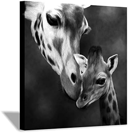 Giraffe Canvas Wall Art Painting: Animal Mama and Baby Kiss Artwork Prints for Decor (24”x24”)