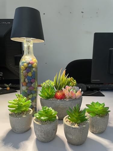 Image of Artificial Plants Set of 5 Artificial Succulents with Pots Colourful and Decorative Fake Succulents with Stones Ideal for Home Office and Outdoor Bathroom Bedroom Decore | Pack of 1