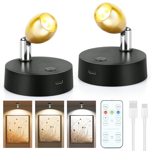 2Pack Rechargeable Spot Lights Indoor, Wireless Uplighting Indoor with Remote Control Timer?Dimmable for Plants, 3CCT LED Spotlight Indoor Accent Light for Painting Picture Display Portrait Wall Decor