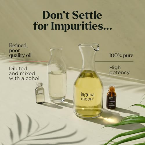 Image of Essential Oils Set - Top 10 Gift Set Blends for Fragrance, Diffusers, Humidifiers, Aromatherapy, Cars & Home Products, Room Sprays, Candle Making, Yoga - Fragrance Oils for Botanical Fresheners Making