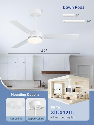 Image of LANMEL Ceiling Fan with Light, Modern Flush Mount Low Profile with Remote Control, Reversible, 3CCT Dimmable, Quiet,LED for Bedroom, Living Room, Indoor /Outdoor Patio Use 42 Inch Silver & White