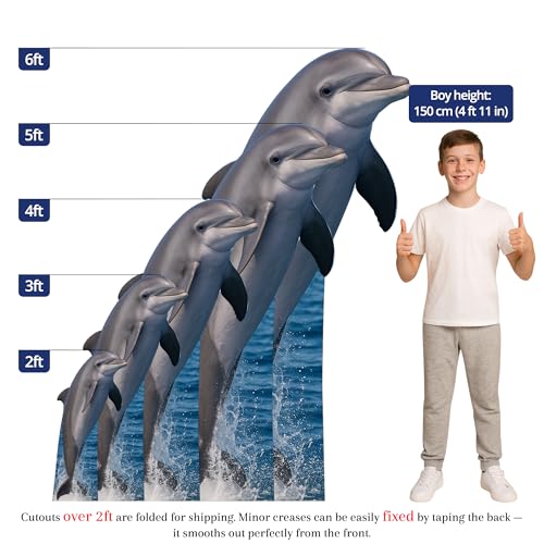 Image of Dolphin 3FT Life Size Cardboard Cutout - A Fun Animal Standup for Photo Booths, Birthday Parties, and Events
