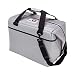 AO Coolers Water-Resistant Vinyl Soft Cooler with High-Density Insulation, Silver, 48-Can
