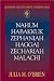 Abingdon Old Testament Commentaries: Nahum, Habakkuk, Zephaniah, Haggai, Zechariah, Malachi