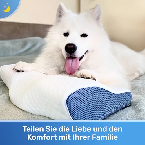Derila Nackenkissen Kopfkissen, Memory Foam Kissen Original. Nackenstützkissen,...