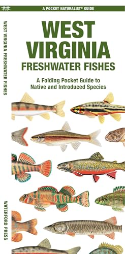 West Virginia Freshwater Fishes: A Folding Pocket Guide to Native and Introduced Species (Nature Observation North America)