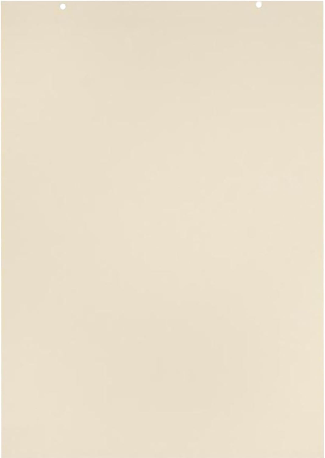 School Smart Jumbo Manila Tag Unruled Chart Paper, 36 x 24 Inches, 100 Sheets