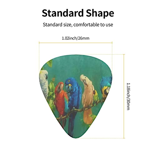 Parrots Birds Lot de 12 médiators fins moyens et lourds pour guitares acoustiques électriques - Les Beatles, Paul McCartney, John Lennon, RIngo Starr, George Harrison Parrots Birds Lot de 12 médiators fins moyens et lourds pour guitares acoustiques électriques – Image 5