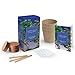 Bonsai Kit Cultivo Interior Kit Bonsai Arbol Natural Semillas Bonsai Plantas Naturales...