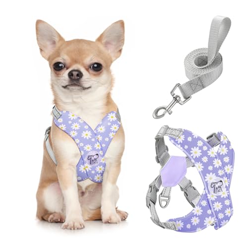 Pawaboo Hundegeschirr mit Hundeleine Set, X-Rahmen Verstellbares Anti Zug Anti-Erstickung Hund Brustgeschirr für Kleine, Mittelgroße Hunde & Welpen, Hundeweste mit Leine, S, Violette Gänseblume