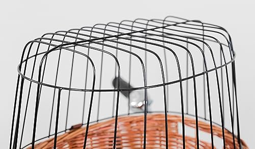 TRIXIE Hundekorb für das Fahrrad vorne bis 5 kg 44 × 48 × 33 cm - gewobener Hundefahrradkorb für den Lenker - in schicker Weidenoptik mit Kunststoff Gitter, 2806