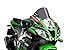 R-RACER SCREEN KAWASAKI ZX-10R 16