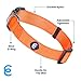Blueberry Pet Essentials Florence Orange Adjustable Nylon Dog Collar for Small Dogs, Classic Solid Color Pet Safety & Style for Small Dogs
