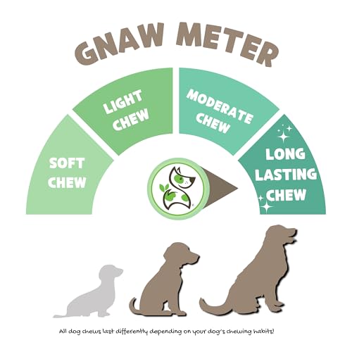 Image of Nature Gnaws Extra Large Bully Sticks for Dogs 5-6 inch (3 Count) - Thick Long Lasting for Aggressive Chewers and Heavy Chewers - Natural Beef Dog Chew Bones