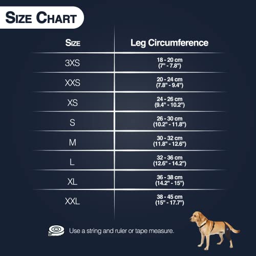 Image of Dog Knee Brace with Harness and Connection Belt, Lightweight and Stretchable, Support for Torn ACL Hind Leg, Luxating Patella, Reduces Arthritis Pain and Inflammation (X-Small)