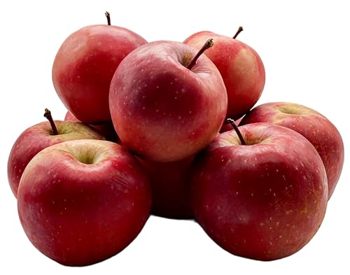 BLEICHHOF® Äpfel Zauberapfel- süß mit rot gefärbtem Fruchtfleisch, aus der Pfalz, Neue Ernte (5kg)
