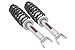 Rough Country 6" Loaded N3 Lifted Struts for 09-11 Ram 1500 4WD - 501023