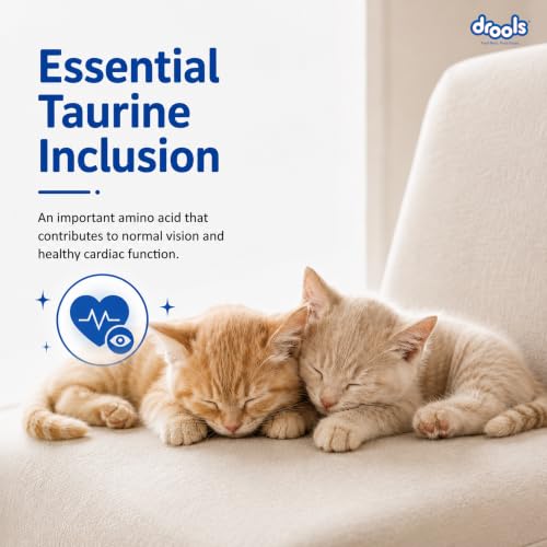 Image of Drools Kitten Dry Cat Food 1.2kg | Ocean Fish Flavour | Promotes Soft Skin & Shiny Coat | Complete Nutrition | Supports Digestion | Aids Growth Development