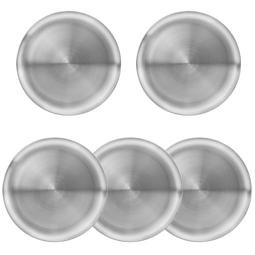 Lot de 6 Assiettes de 30 cm en Acier Inoxydable, Réutilisables, Circulaires en Métal, Plats de Dîner en Métal pour Collations, Camping, Barbecue, Steak, Passe au Lave-Vaisselle