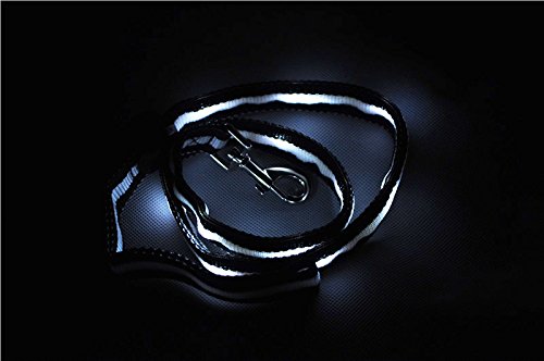 Stylish Dog Led Collar (6 Led Lights) And Leash (10 Led Lights) Matching Set, Besafer (Tm) (Black) #TOP3