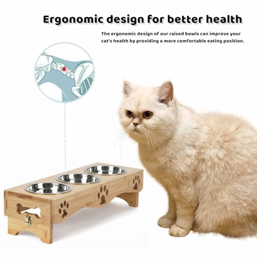 WPAJIRZO Katzennapf erhöht 3er Set - Edelstahl-Näpfe für Wasser & Futter mit Höhenverstellbarem Holzständer - Ergonomische Futterstation für Katzen & Welpen