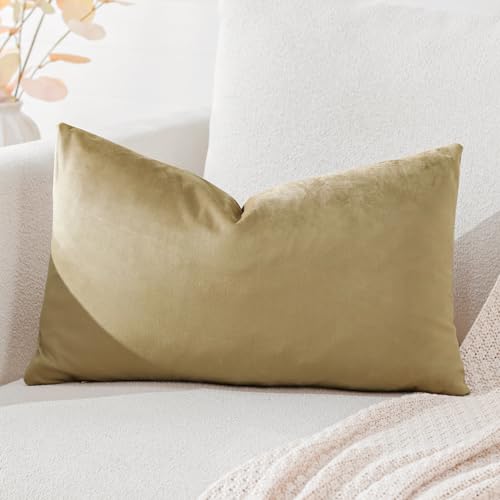 Artscope Luxury Velvet Cushion Covers Super Soft Decorative Rectangle Throw Pillow Covers Case Cushion Covers for Sofa Couch Bedroom Car Decor 40x60cm Tan