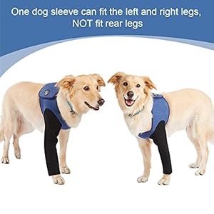 Dog Recovery Suit, Cone Collar Alternative, Abrasion Resistant Dog Recovery Sleeve, Washable 2.5mm Thick and Waterproof, Pet Wounds Prevent Licking, Bite, Keep Dry (XXL) Dog Recovery Suit Cone Collar Alternative Abrasion Resistant Dog Recovery Sleeve Washable 25mm Thick and Waterproof Pet Wounds Prevent Licking Bite Keep Dry XXL