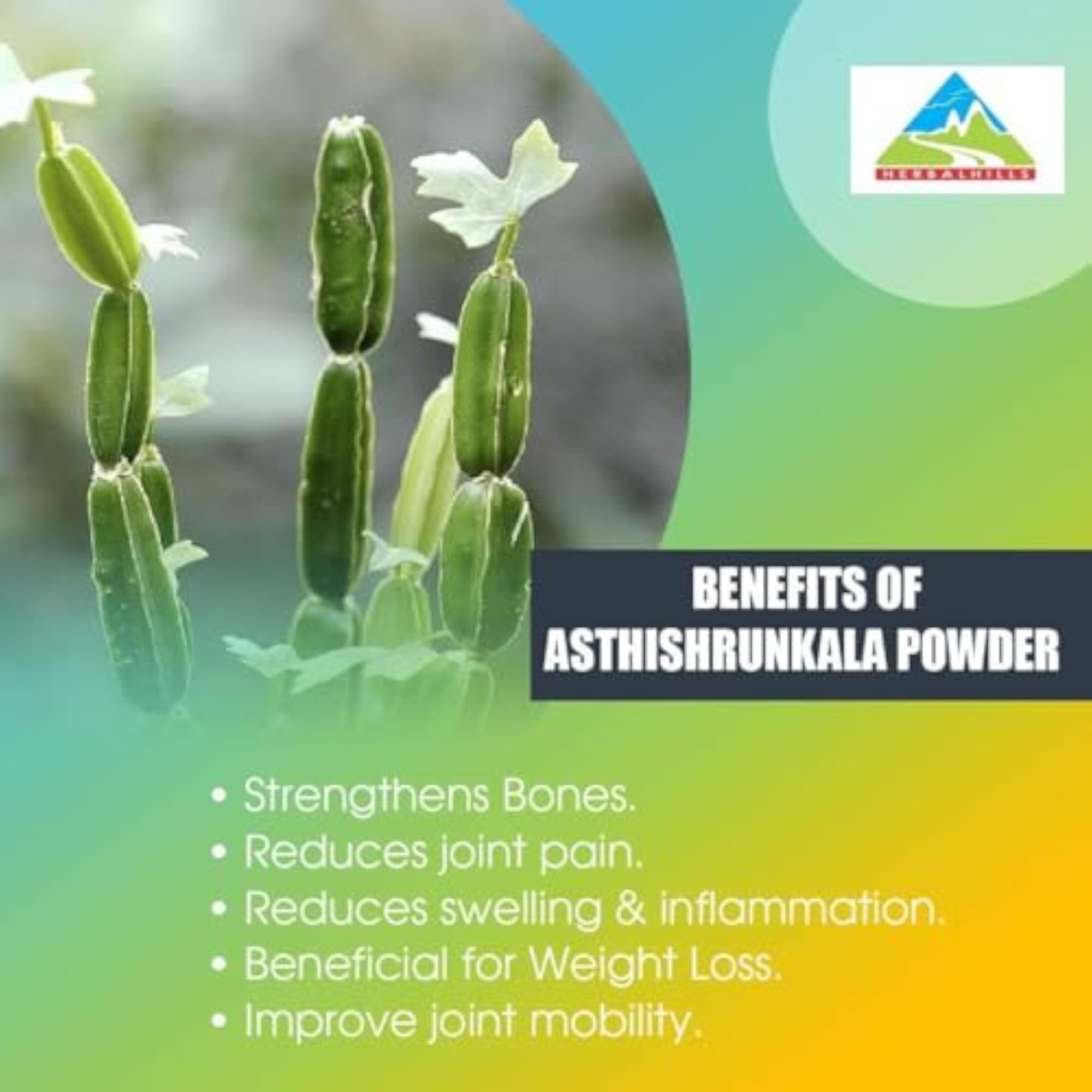 Herbal Hills Asthishrunkala Powder, 1 Kg