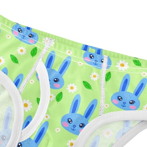 Cute Bunny Rabbit Flowers Floral Green Toddler Boy's Underwear 2T 23018784