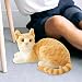 Imagen de Colcolo Juguete de Peluche de Gato Suave, Cómodo