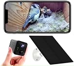 PeekWild Solar Bird Box Camera with WiFi – Wireless HD Nest Box Camera with Night Vision | Live Stream Garden Birds to Your Phone | Solar Powered Wildlife Camera for UK Gardens