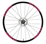 DualColorStampe