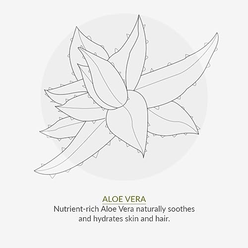 Green People Scent Free Deodorant 75ml | Natural & Organic Sensitive Deodorant | Gentle Deodorant for Men & Women with Sensitive Skin | Unperfumed, Paraben Free & Ethanol Free | Cruelty Free & Vegan - Image 5