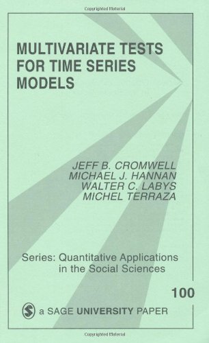 Multivariate Tests for Time Series Models