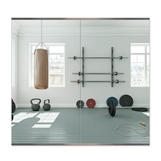 Honyee Home Gym Mirror, 48" x 24" x 2PCS, Wall Mounted Frameless Mirror with Polished Edge, Large Activity Mirror for Home Gym/Yoga Room/Dancing Room and More (48" x 24", 2PCS)
