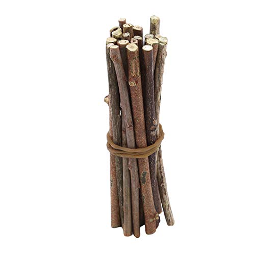 Sperrins Wood Sticks 20 Pieces Natural Unfinished Craft Branches Wood Sticks for DIY Arts Crafts Photo Props Home Decor Floristry,0.3-0.5cm in Diameter