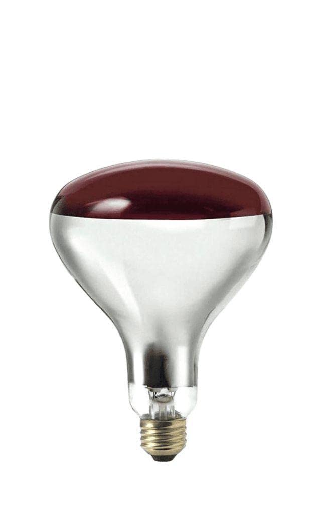 Neelgiri Infrared Bulb work deep into muscles and give fast relief from pain and strains-image-43