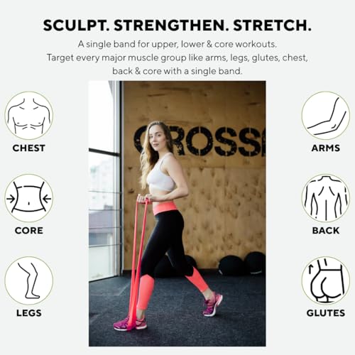 Image of PulseITThera Resistance Bands for Workout. Pilates, Yoga & Home Exercise Bands. Latex Thera Bands for Gym, Strength Training, Stretching & Toning. Fitness Bands for Men & Women (Red)