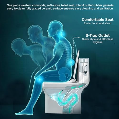 Image of KrissKross Premium Rimless Floor Mounted One Piece Water Closet Ceramic Western (Black)