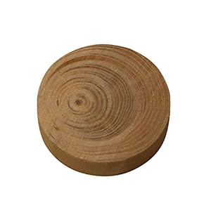 Jowe Fichte Astdübel 15x9 mm 100 Stk.